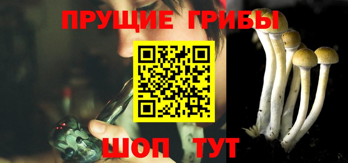 Псилоцибиновые грибы ЛСД  Псилоцибиновые грибы прущие грибы  Вход с VPN  Долгопрудный 